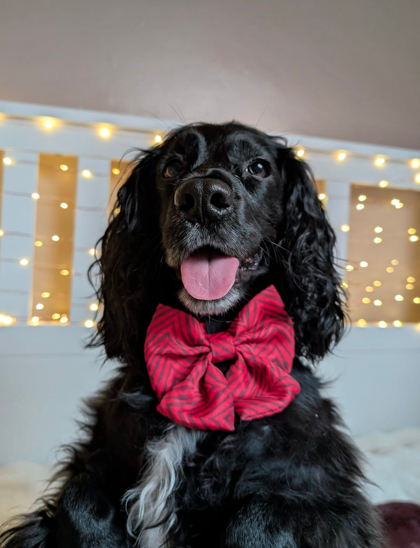 Wild at Heart Sailor Bow