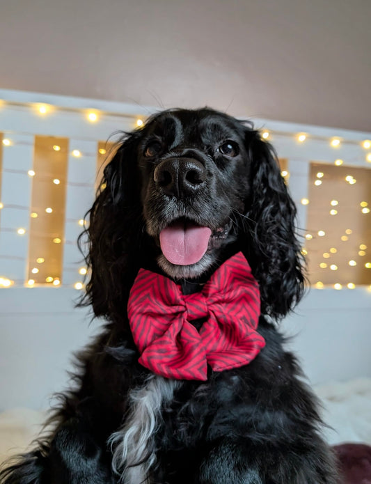 Wild at Heart Sailor Bow