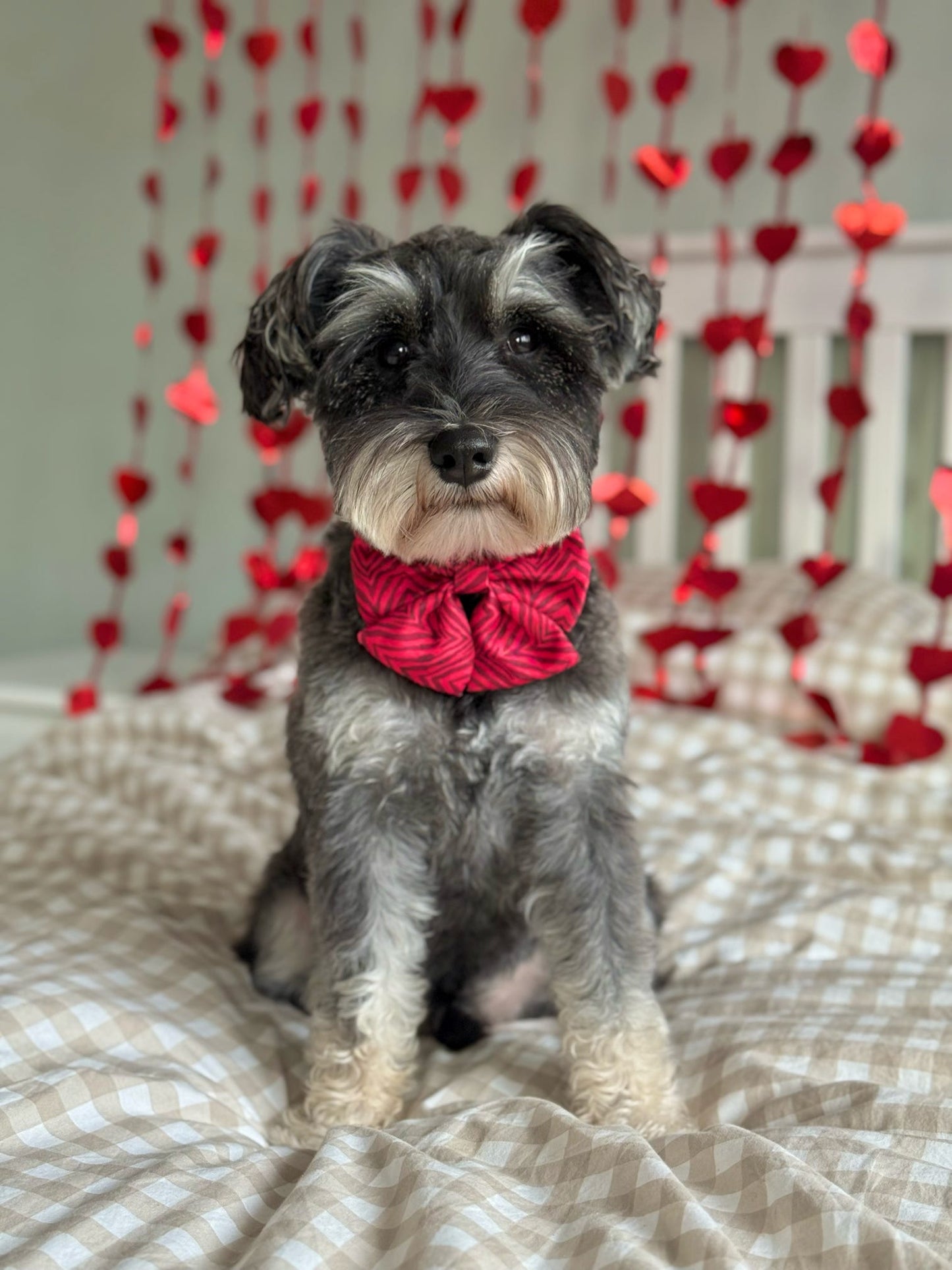 Wild at Heart Sailor Bow