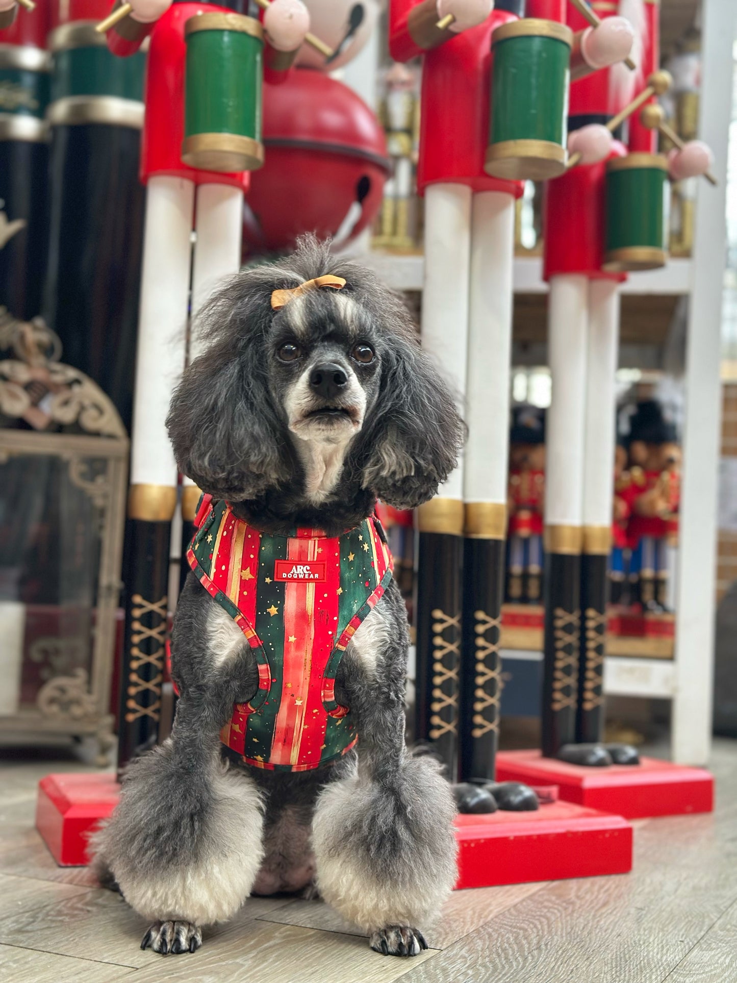 Starfall Adjustable Harness