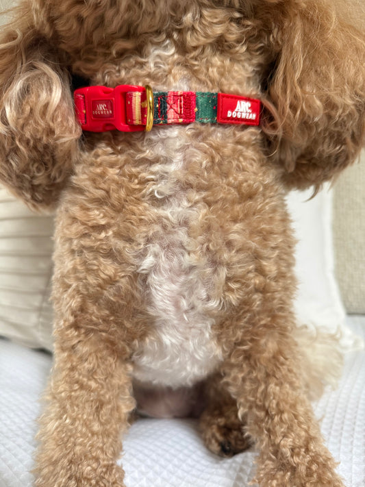 Starfall Adjustable Collar