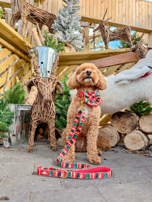 Starfall Adjustable Lead