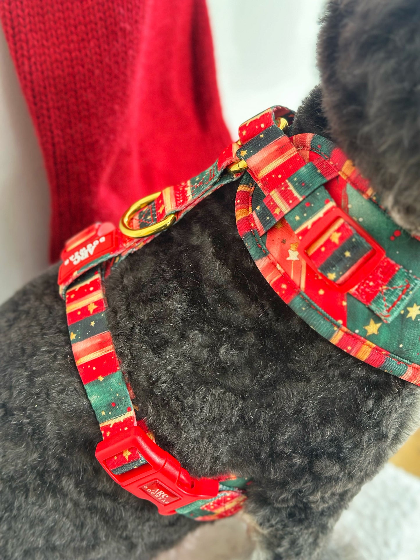 Starfall Adjustable Harness