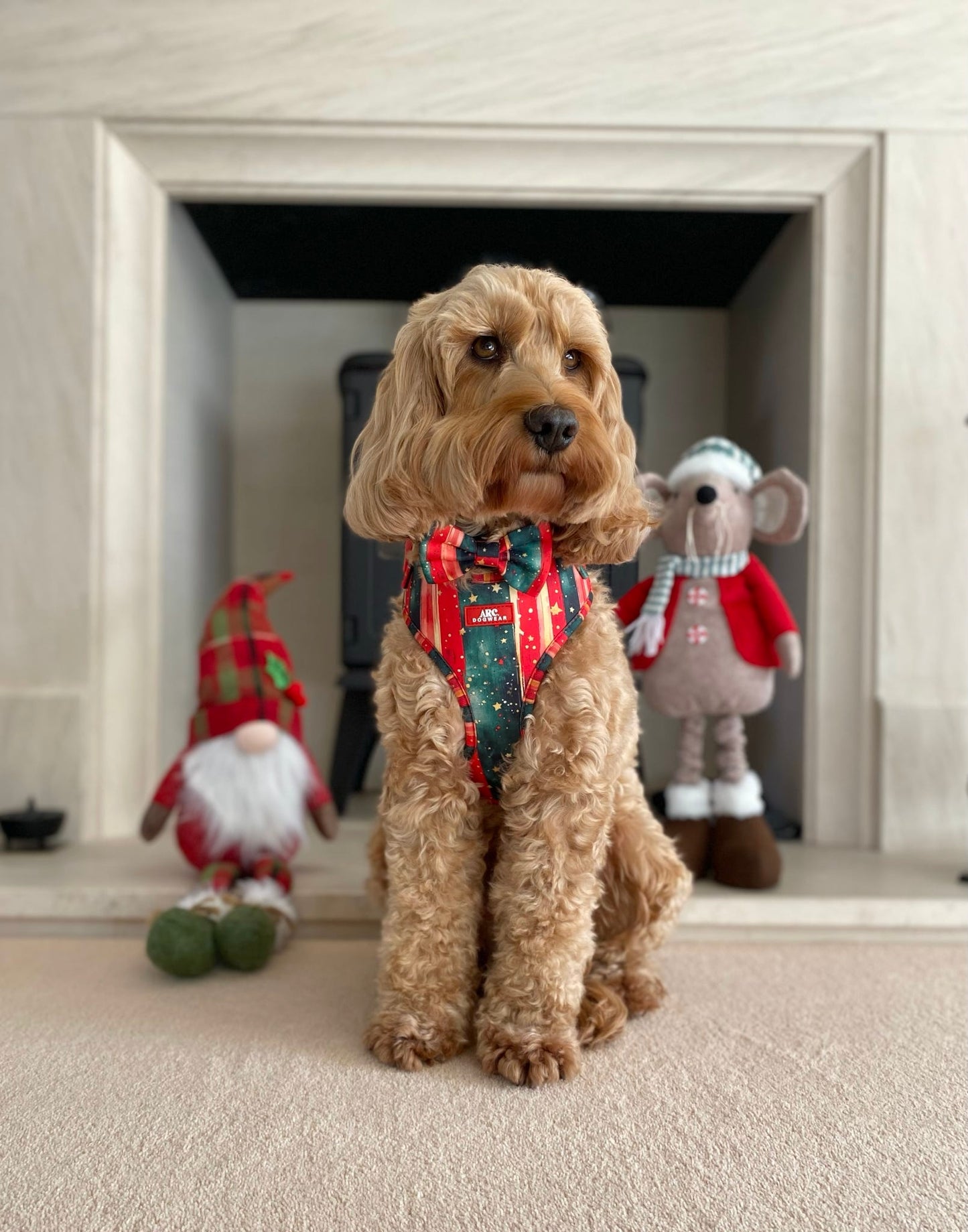 Starfall Adjustable Harness