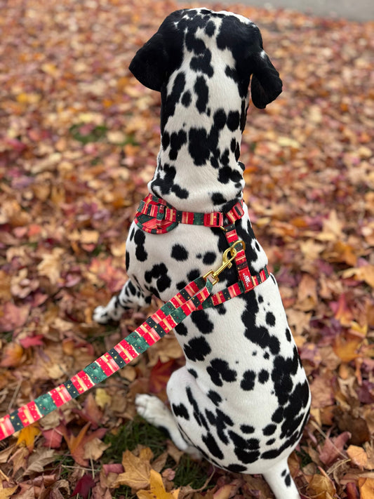 Starfall Adjustable Lead