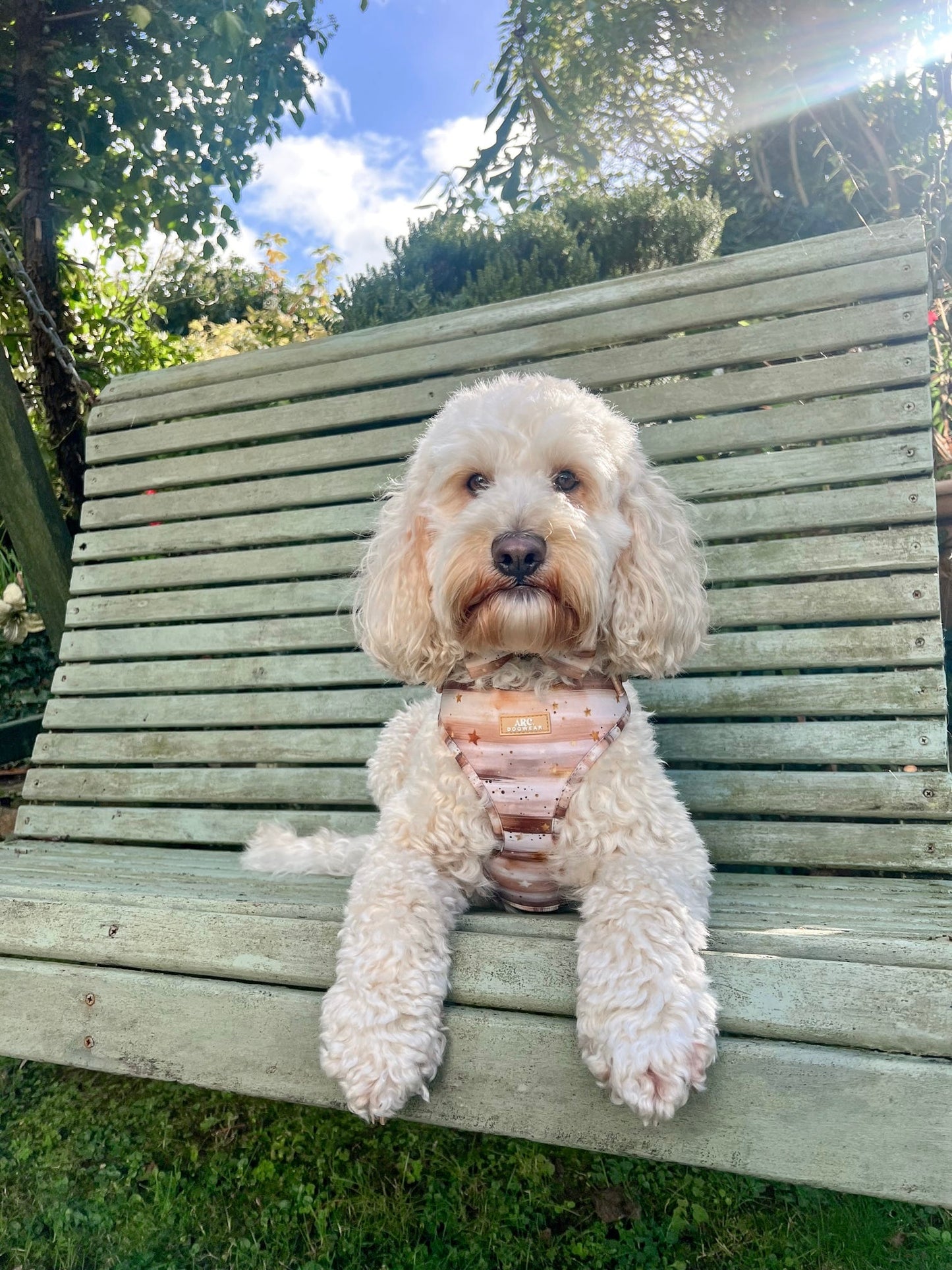 Starlight Adjustable Harness