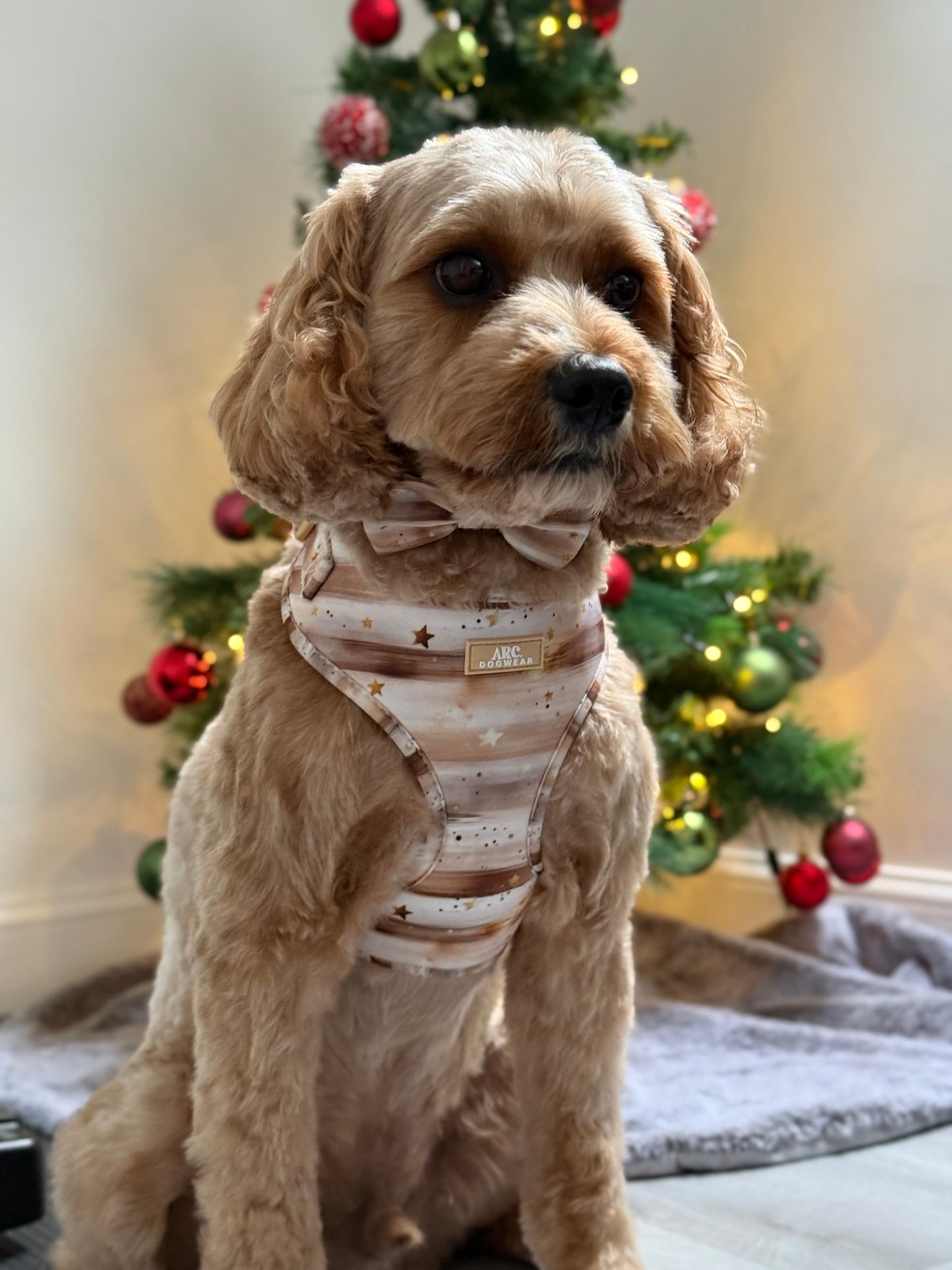 Starlight Adjustable Harness