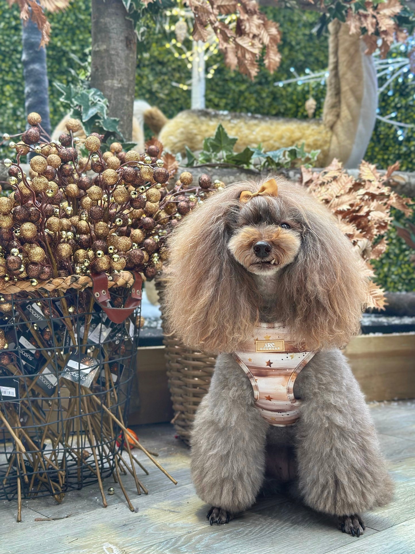 Starlight Adjustable Harness