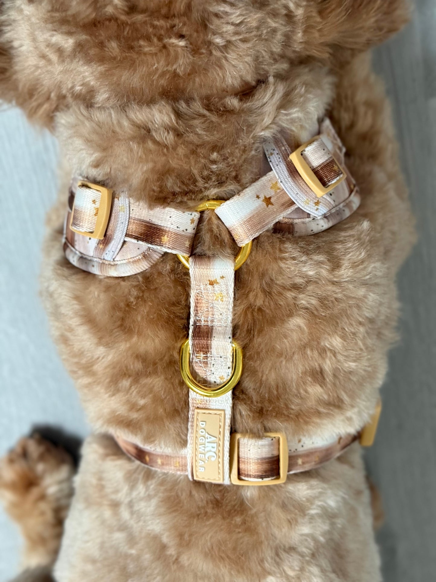 Starlight Adjustable Harness