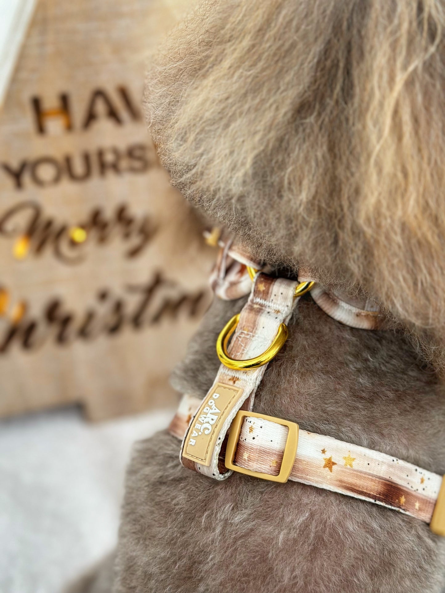 Starlight Adjustable Harness