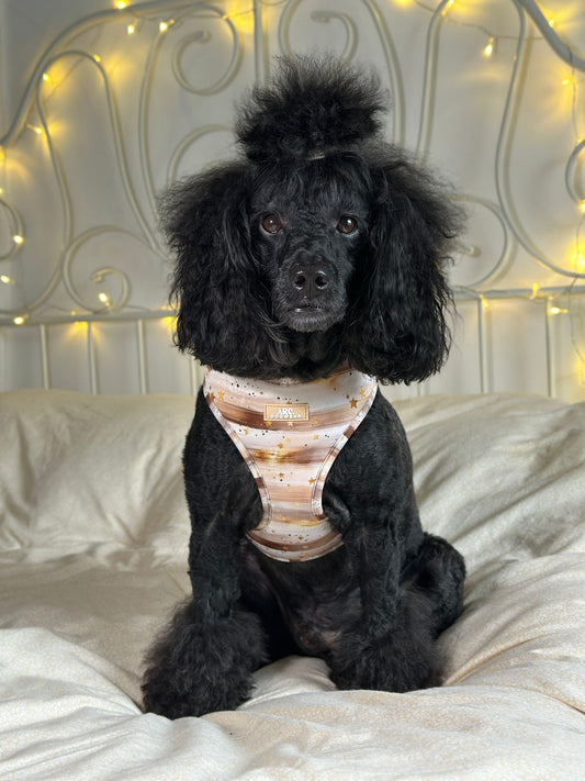 Starlight Adjustable Harness