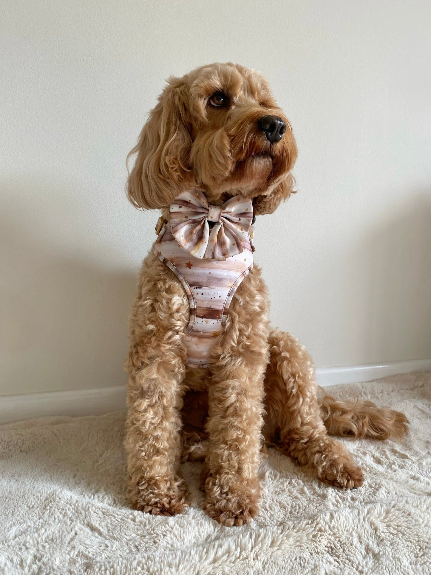 Starlight Sailor Bow