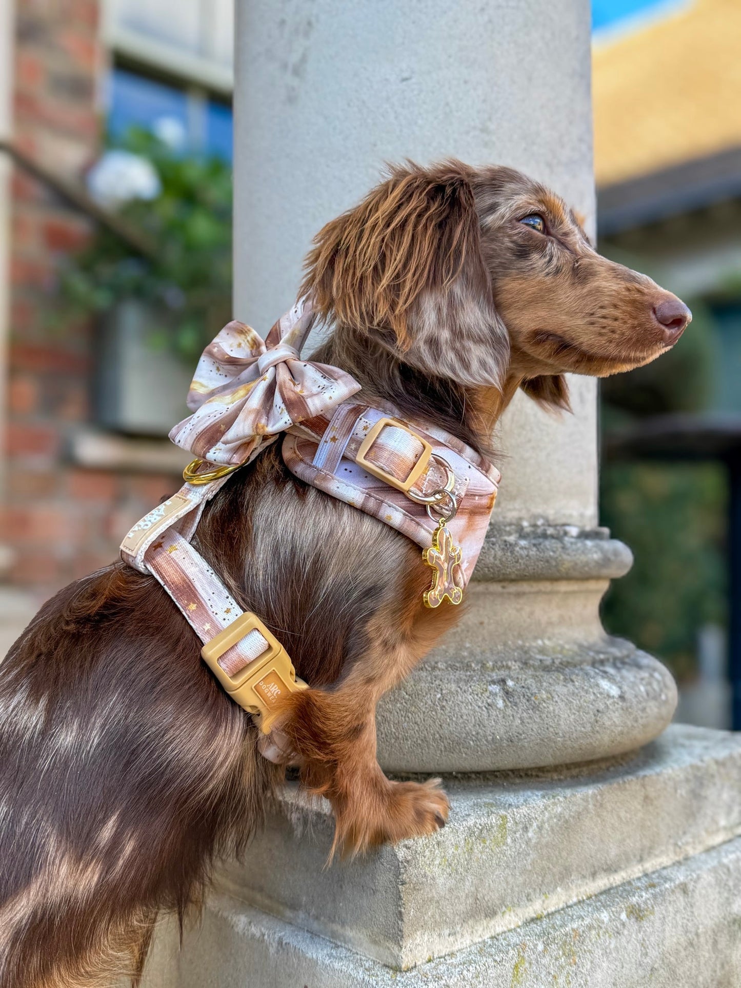 Starlight Sailor Bow