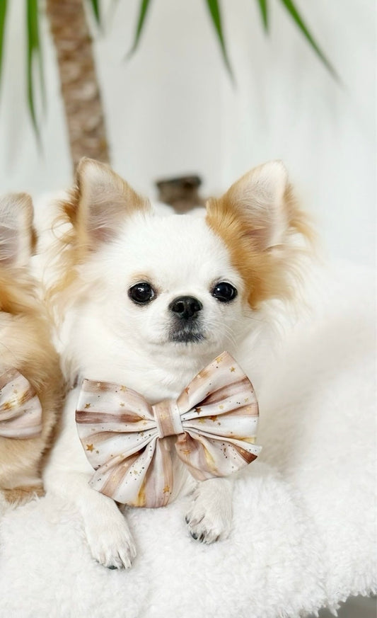 Starlight Sailor Bow