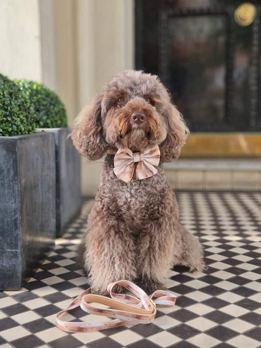 Starlight Adjustable Lead