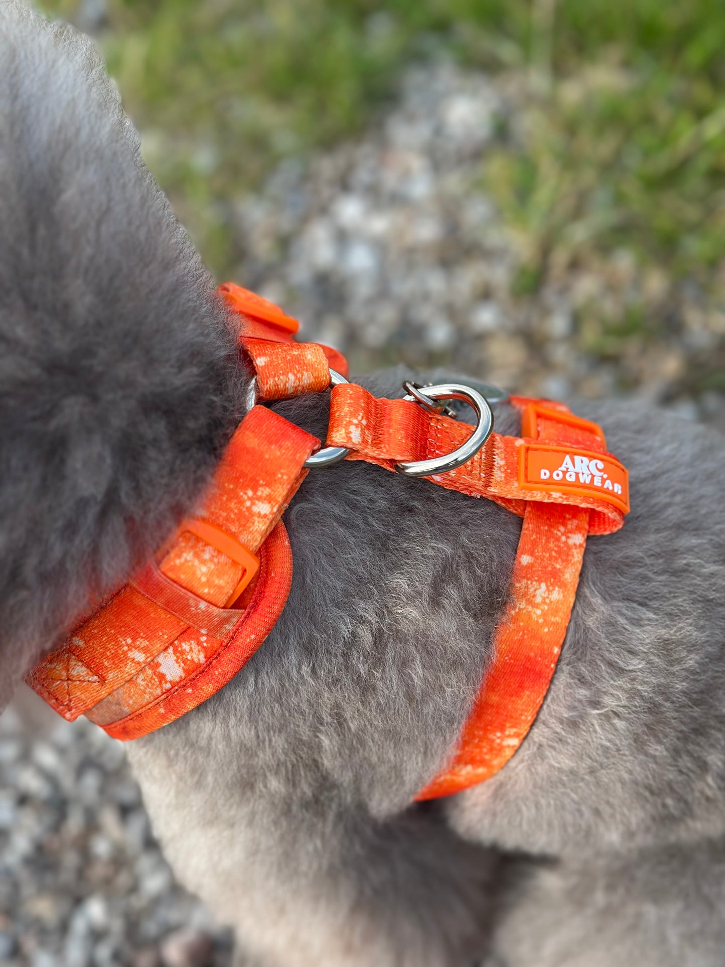 Solstice Adjustable Harness