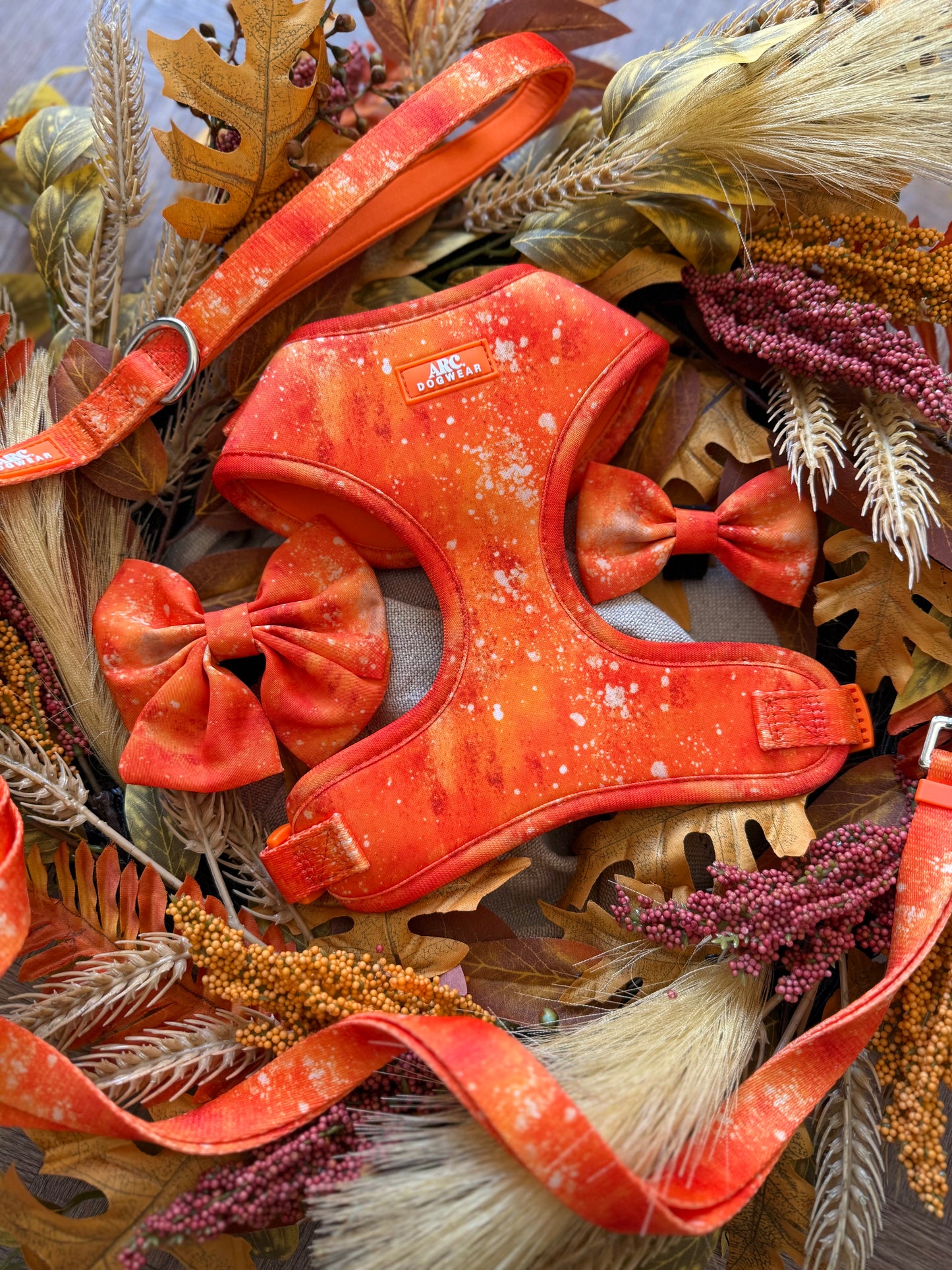 Solstice Adjustable Harness