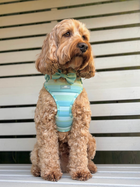 Vista Bow Tie