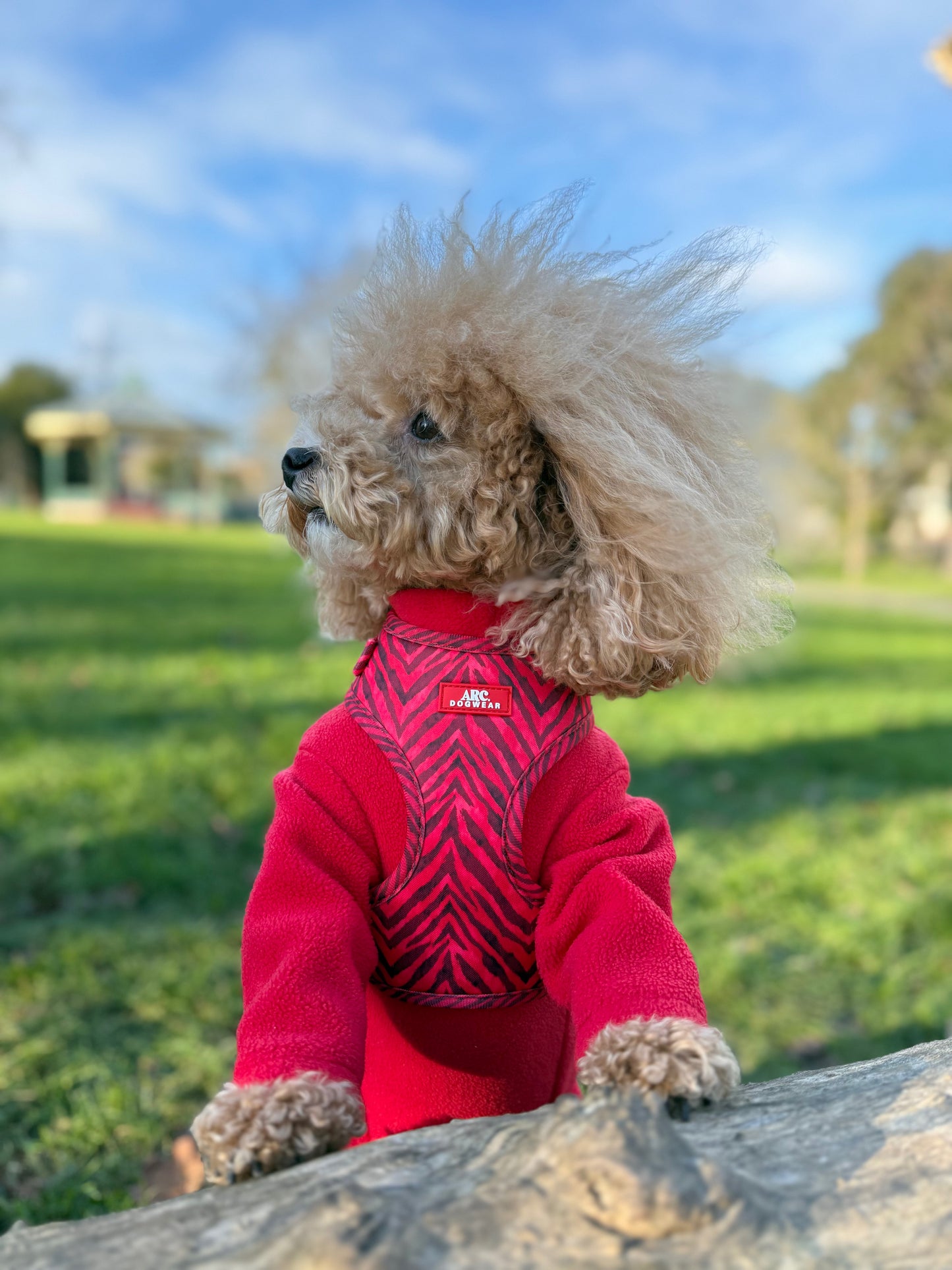 Wild at Heart Adjustable Harness